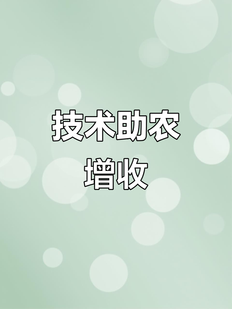教程指南类:如何高效使用检验检疫技术中心官网