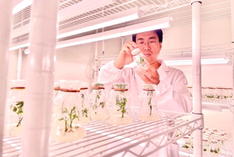 深圳市五州田农业科技开发公司的名字,听起来就像是农业界的明星企业!今天我们就来聊聊如何为这样的农业科技开发公司起个响亮的名字。